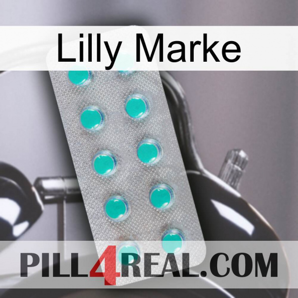 Lilly Brand 28.jpg